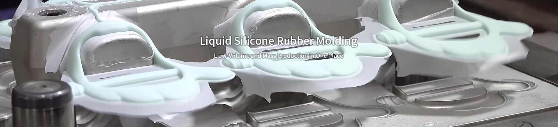 Liquid Silicone Rubber Molding