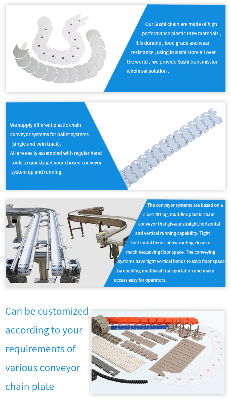 Chain Conveyor