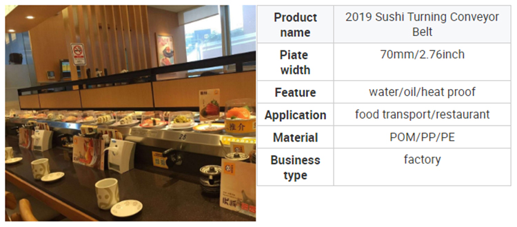 Chain Conveyor