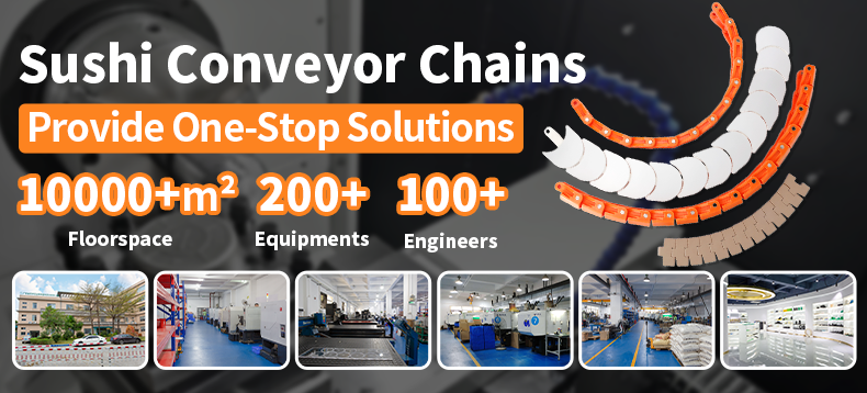 Chain Conveyor