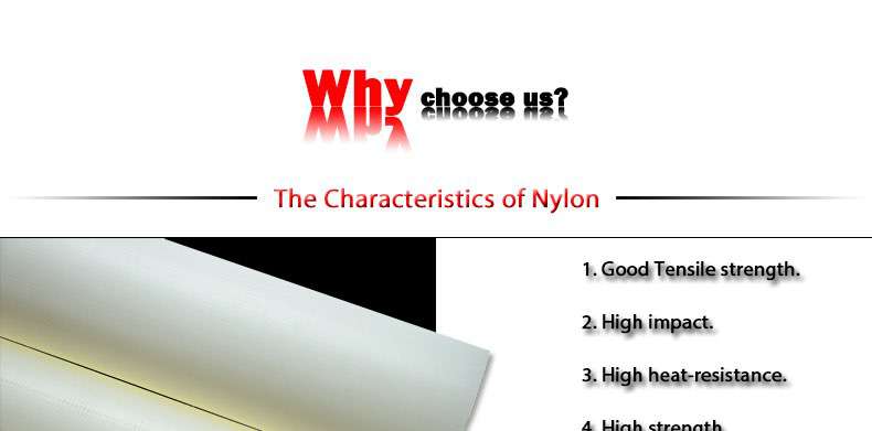 Nylon6 PA6 plastic Rod